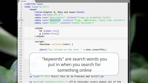 HTML5_PRO_ch8-02-metatags-0609 (720p)