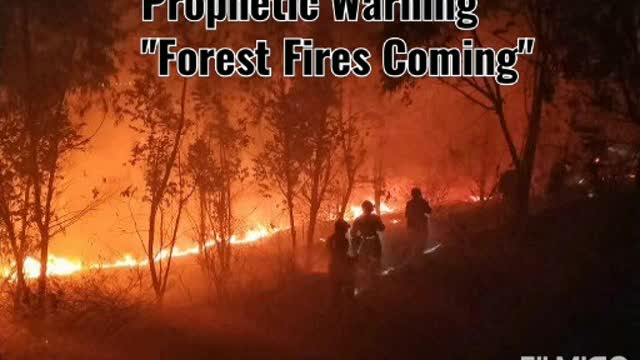 FOREST FIRES ARE COMING