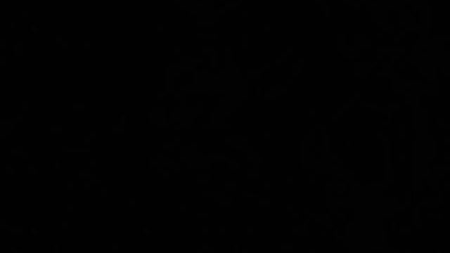 beautiful tough fight