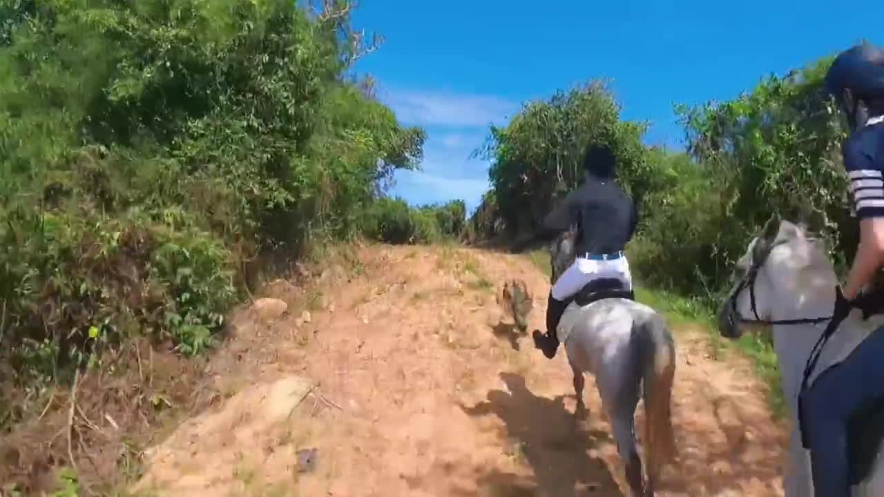 Happy weekend to practice horse riding