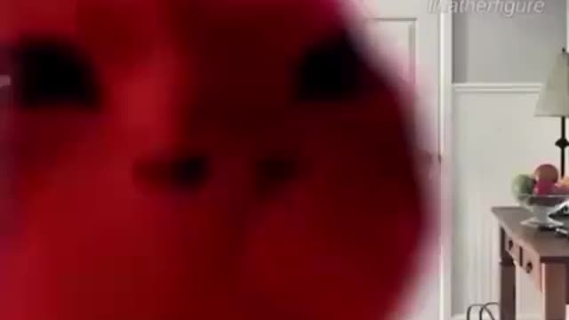 we’ve all been there