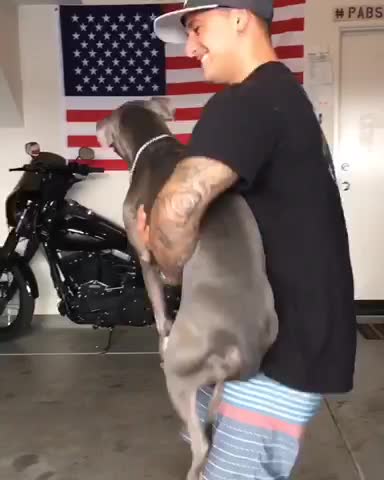 Life's to short to me normal. Stay weird.