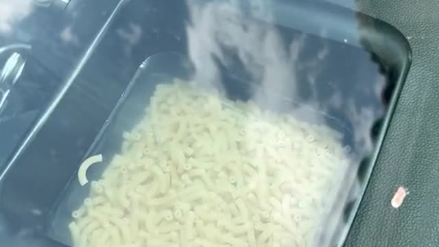 willmacandcheesecookinmycar#rapidmaccooker#rapidpartner#rapidbrands@RapidBrands#macandcheese#foryou