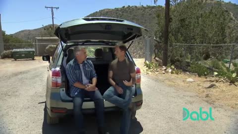 Cesar Must Show A Bulldog and Rottweiler Who's Boss | Cesar 911