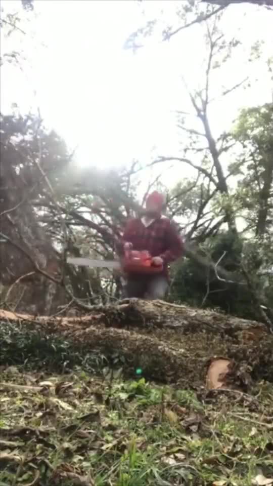 Viral video today shorts 7 funny