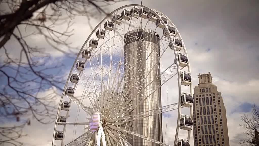 The ferris wheel