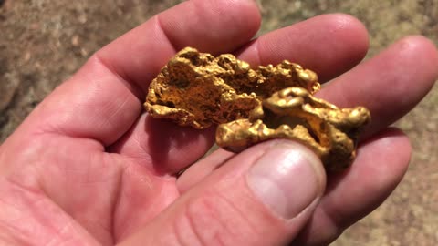 Finding The Amazing GOLD...