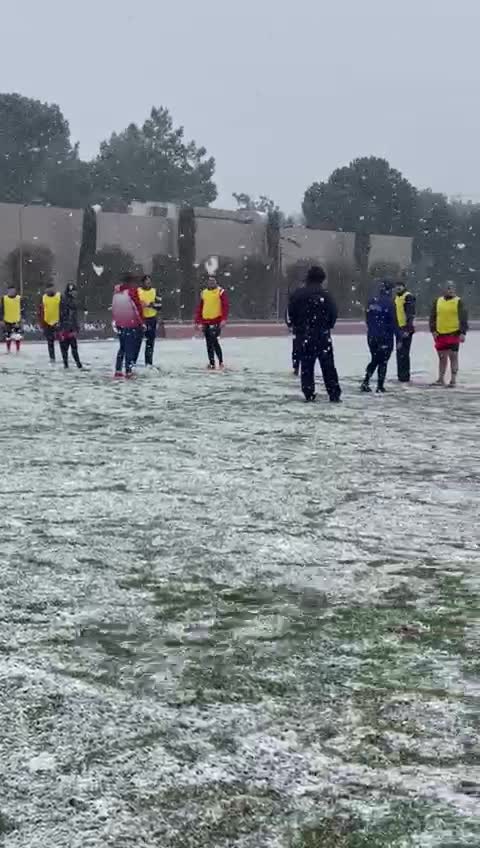 Our fate is in World Rugby’s hands, says Russia coach Dick Muir from Turkey