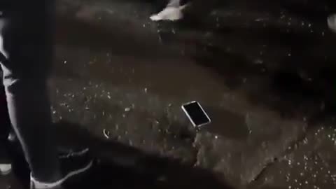 When animals attack these people are scum all of them