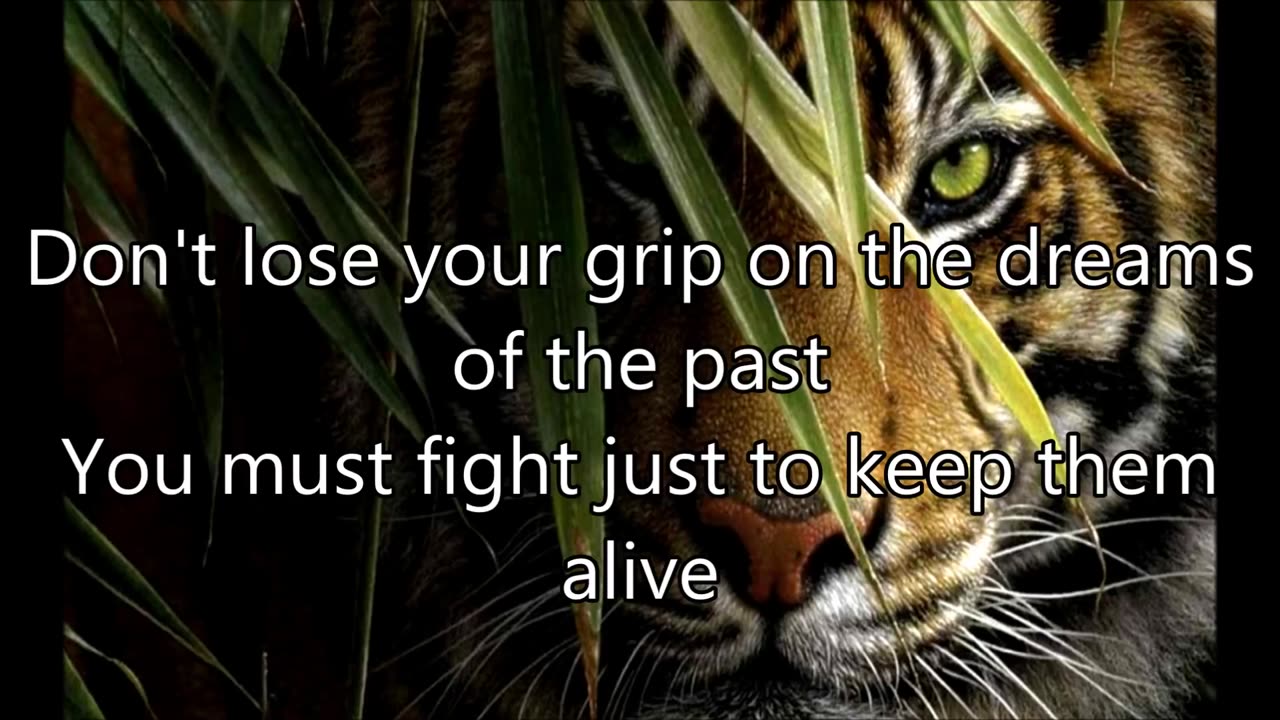 Survivor Eye Of The Tiger Lyrics