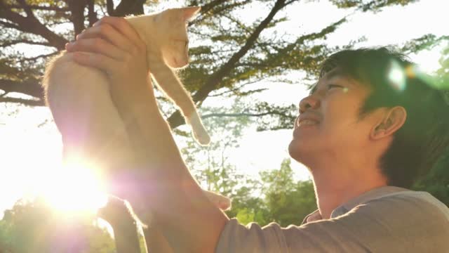 Asian man playing with cute tabby cat on sunny day