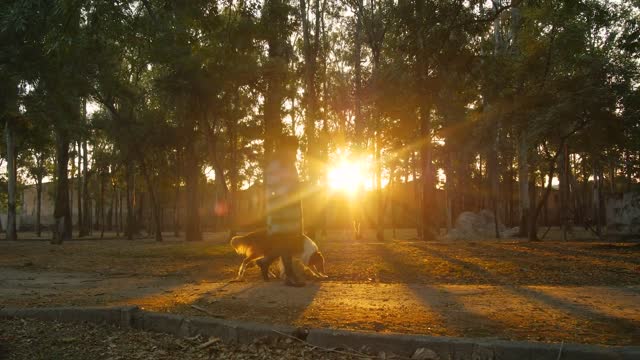 Woman Walking With Brown Dog on Forest