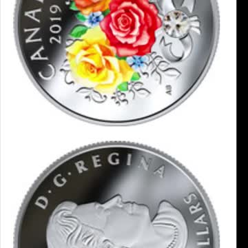 3 silver Canadian dollars