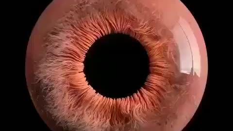 image of an eye under a microscope.