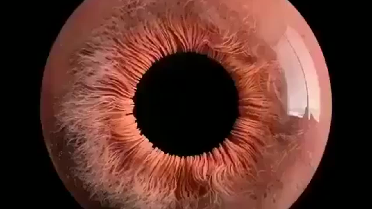 image of an eye under a microscope.