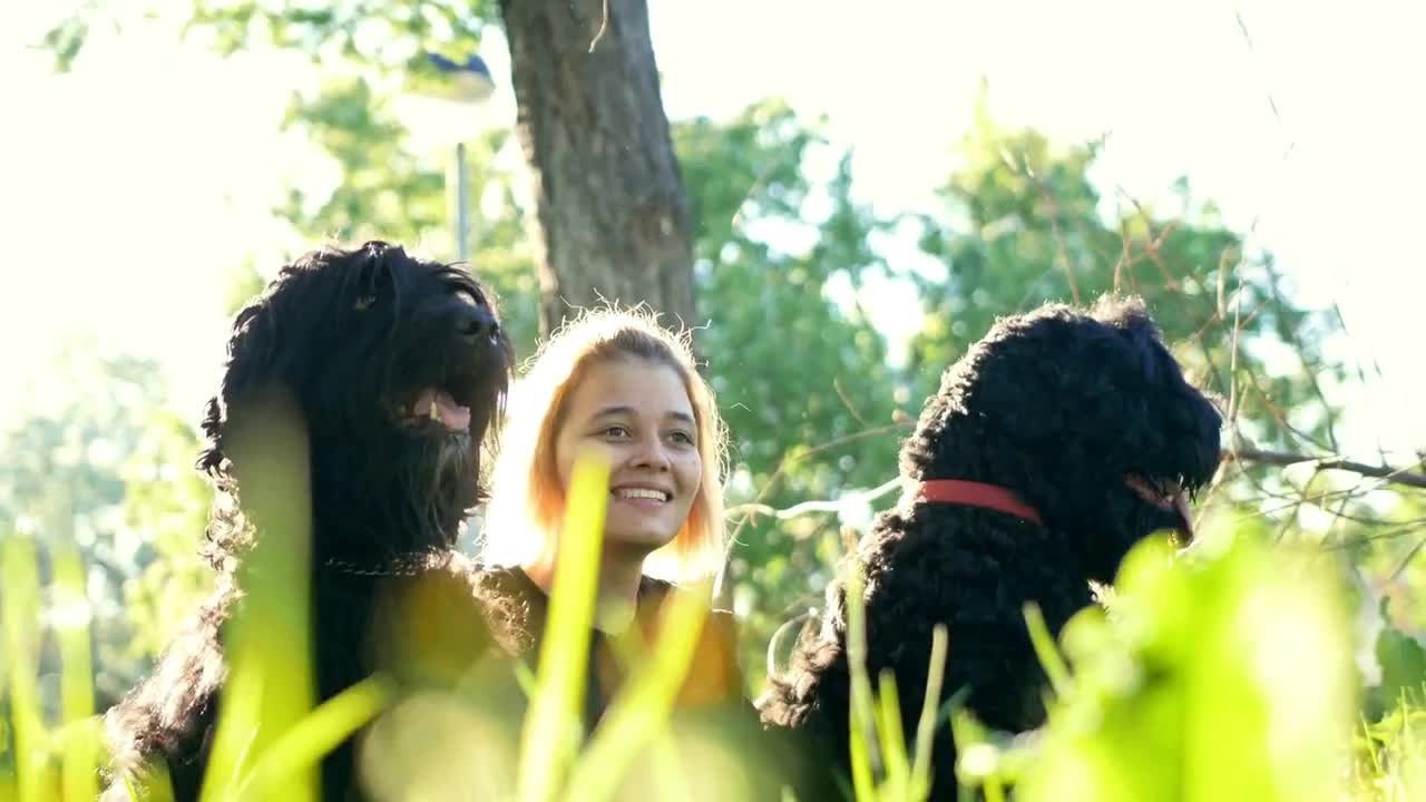 Two dogs and their young mistress on a walk in the Park, the girl smiles, bright sun rays