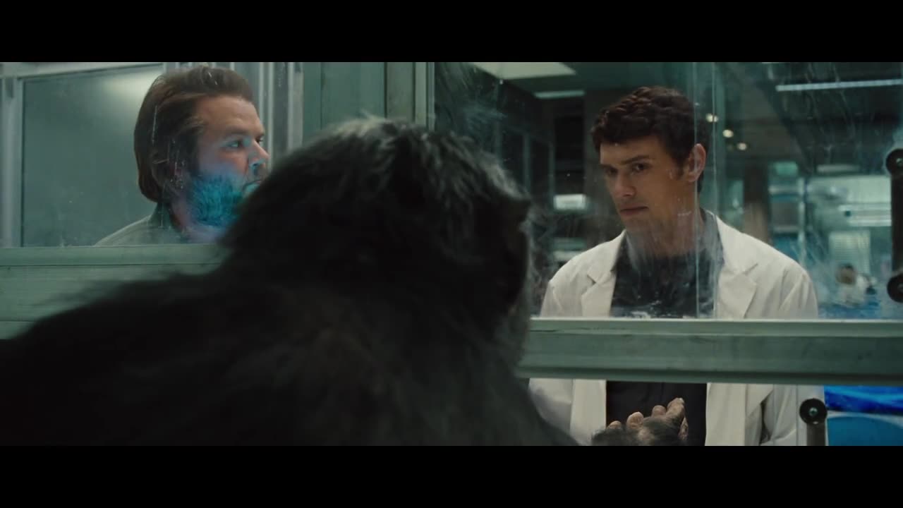 Experiment on Koba and Patient Zero - Rise of the Planet of the Apes (2011) Movie Clip HD