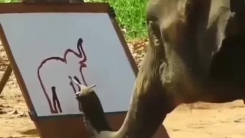 amazing talent in Elephant while drawing