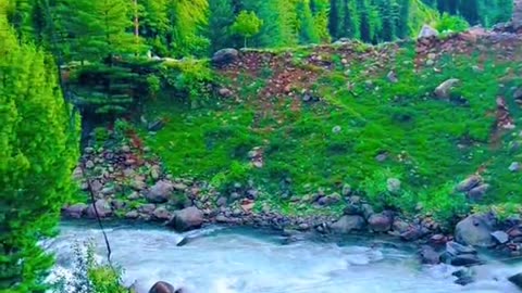 Kashmir ❤️❤️🌹