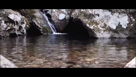 natural video for purity of soul