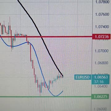 USD net short positions decreased