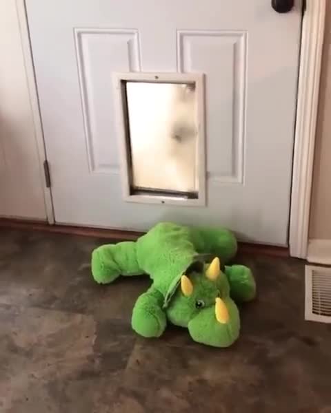 ‘You’re coming with me, dino.’