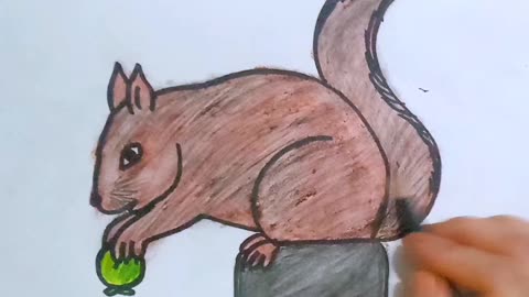 Learn to draw squirrels |