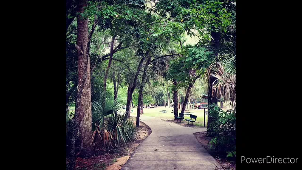 Ocala state park