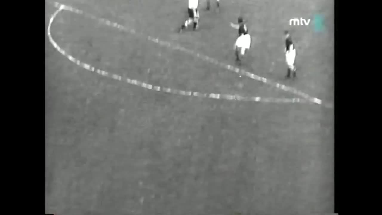 Hungary vs West Germany 2-3 1954 World Cup Final(Miracle of Bern)-Extended Highlights