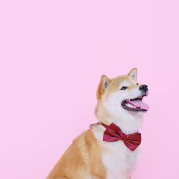 My boy ready for that date