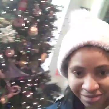 My Favorite Tree, The Donut Tree Duh.