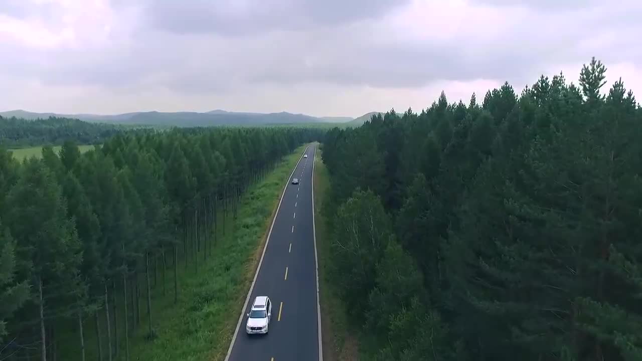 Beautiful and colorful Saihanba Forest Highway