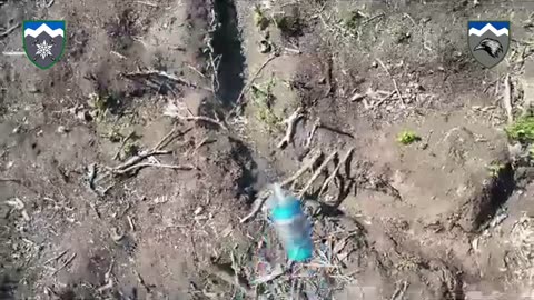 Bilohorivka_14.08.2023