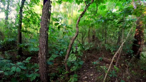 Smallmouth Hunting