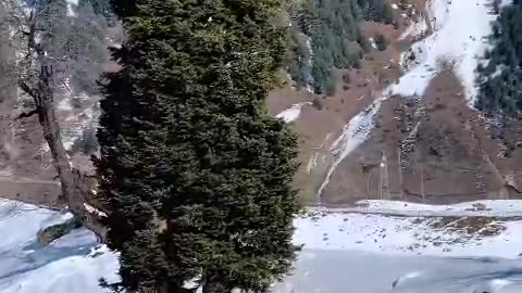 Snow horse horse,horses,horse riding,horse