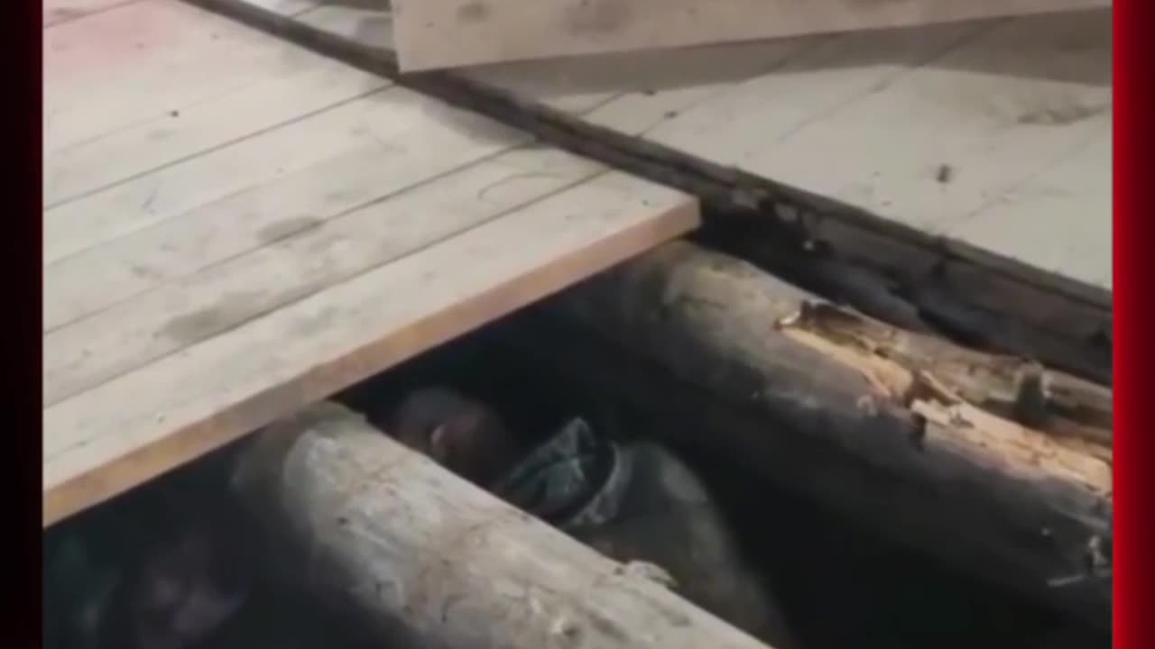 A man discovered an incredible artifact under his house