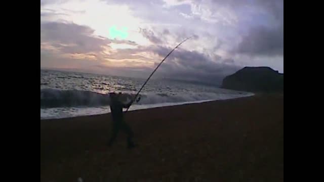 Mark Clark Portrush swimming with Dolphins in the New Forrest 2011.