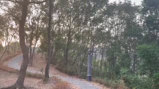 We found a path.