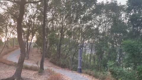 We found a path.