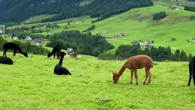 Such peaceful and beautiful view! Thanks and you too, Fab!⛰️