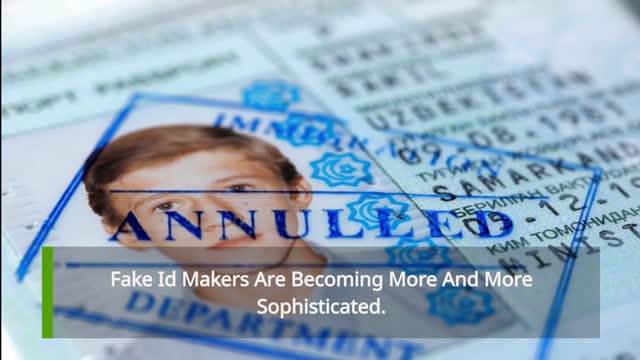 Fake ID Maker