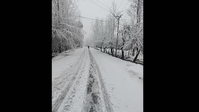 FRESH SNOW IN KASHMIR