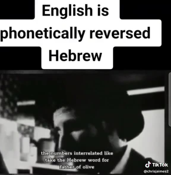 fibonacci sequence - It's all connected whether you see it or not.