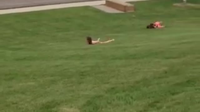 Rolling down a grass hill and can no longer walk