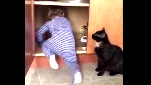 Baby Cats - Cute and Funny Cat Videos Compilation |