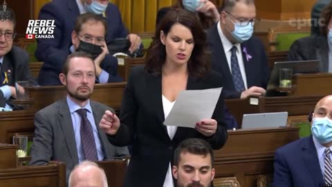 Trudeau's Minister of Transport gives no end date for the end of vaccine passports for flying
