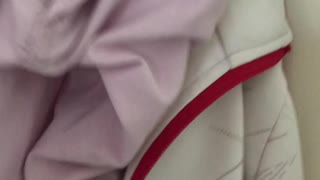Cat got stuck in the trousers while climbing on the door