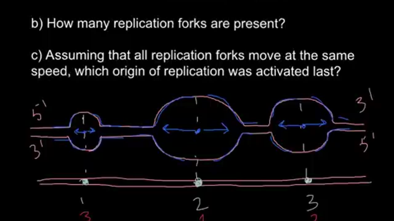 DNA. Origin of replication