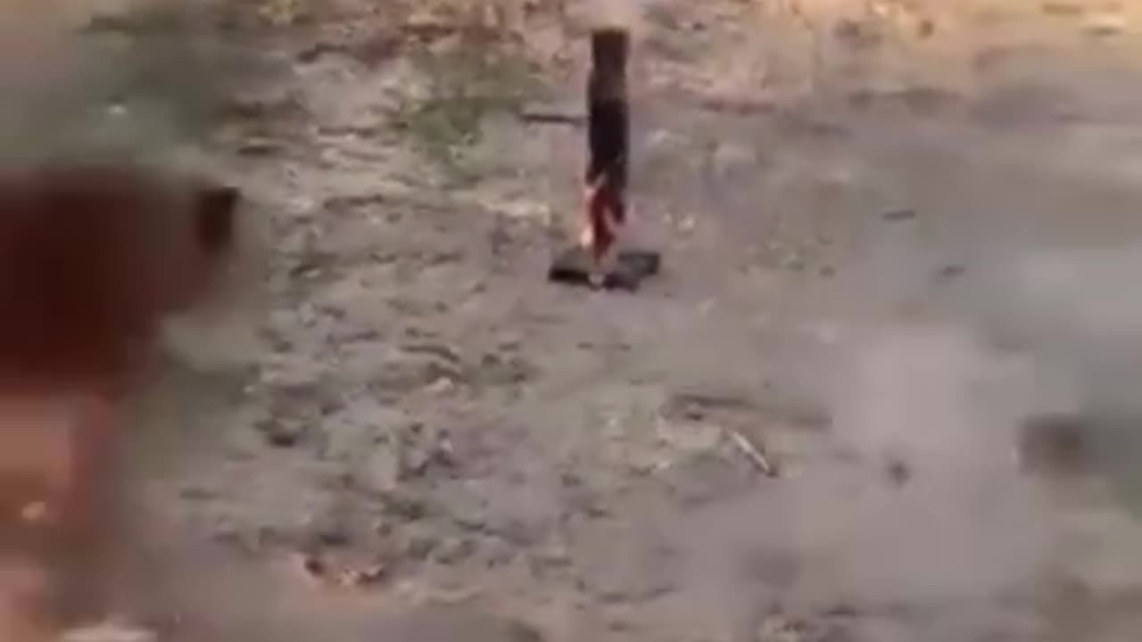 Funny video (Try not to Laugh😂)