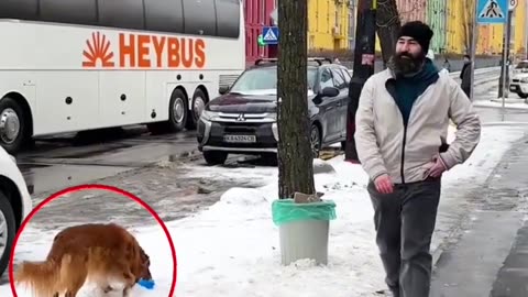He throws this bottle at this dog but then... 😨